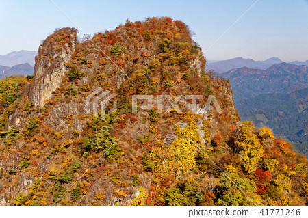 Deer of autumnal leaves seen from the Nishito-shi and Mt. Deer of autumnal leaves seen from the Nishito-shi and Mt. 41771246