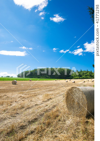 Landscape of the hill Grass Roll Biei Furano Kamifurano Landscape of the hill Grass Roll Biei Furano Kamifurano 41771298