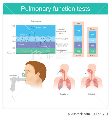 pulmonary function tests lungs testing air illustration