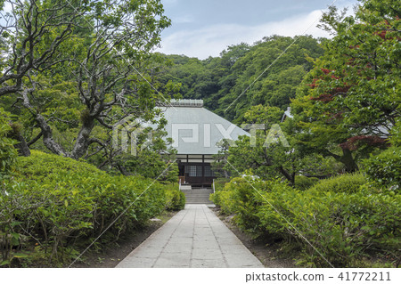 Kojyoji（鎌倉市Kyoikiji） 41772211