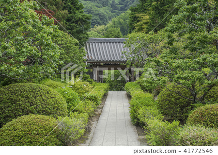 Kojyoji（鎌倉市Kyoikiji） 41772546