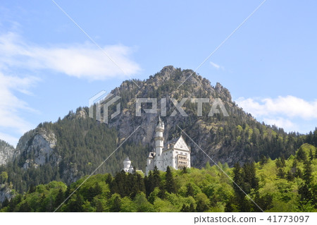 Neuschwanstein Castle 41773097