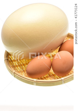Ostrich egg ostrich antibody coronavirus influenza norovirus 41773124