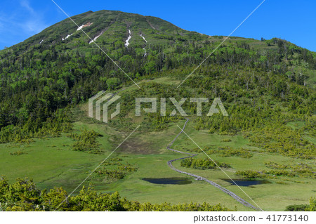 Tamiya Kumazawa early summer and Mt. Tamiya Kumazawa early summer and Mt. 41773140