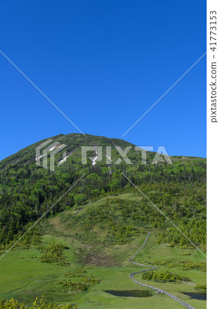 Tamiya Kumazawa early summer and Mt. 41773153