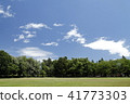 Park's lawn and blue sky 41773303