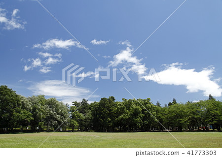 Park's lawn and blue sky Park's lawn and blue sky 41773303