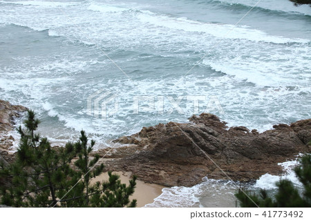 Uratomi coast seen from Araragi Shrine 41773492