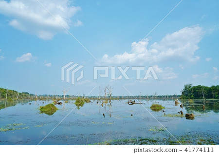 Landscape around Nyak Poan in the Angkor ruins in Siem Reap Kingdom, Cambodia Landscape around Nyak Poan in the Angkor ruins in Siem Reap Kingdom, Cambodia 41774111
