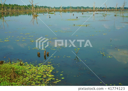 柬埔寨王國,吳哥紀念碑,Nyak·Poin風景 柬埔寨王國,吳哥紀念碑,Nyak·Poin風景 41774123