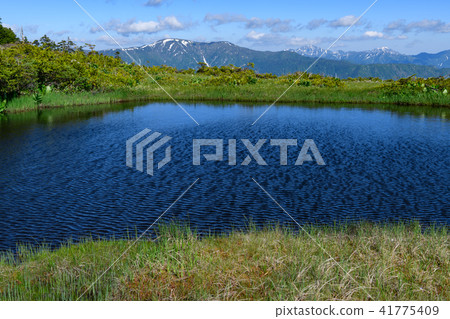 Ikeda from Kumazawa Tashiro in early summer Ikeda from Kumazawa Tashiro in early summer 41775409