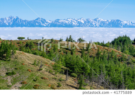 Mikahara Takahara Sea of clouds spreading under the eyes 41775889