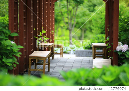 garden 41776074