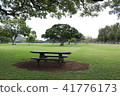 Honolulu Kapiolani Park 41776173