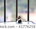 A bird 41776258
