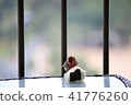 A bird 41776260