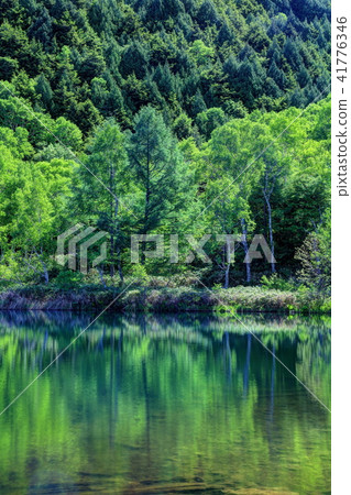 Kido pond in early summer Kido pond in early summer 41776346