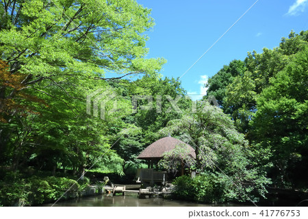 Kawasaki-shi Miyamae-ku Higashi Takane Forest Park 41776753