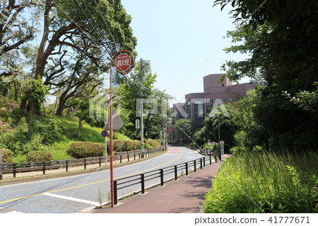Scenery of Mount Nogei 41777671