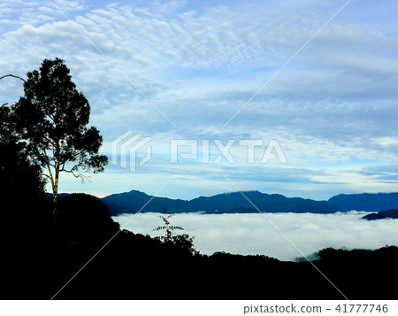 beautiful sea of mist in the morning 41777746