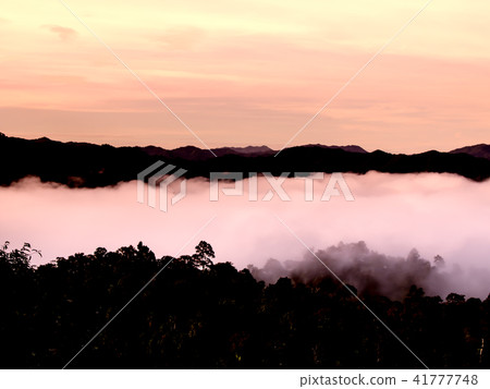 beautiful sea of mist in the morning 41777748