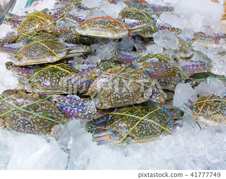 close up flower crab in the market 41777749