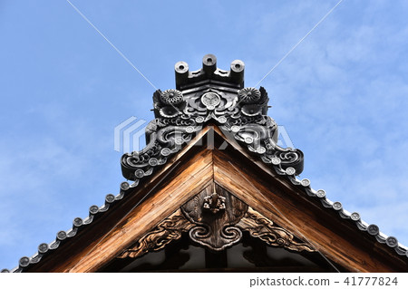 Fukuroi Fukuroi 41777824