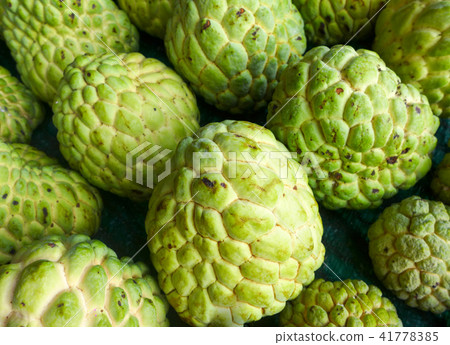 close up custard apples in the market close up custard apples in the market 41778385