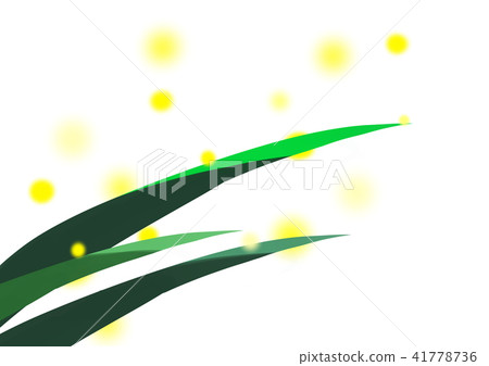 Fantastic grassy firefly Fantastic grassy firefly 41778736