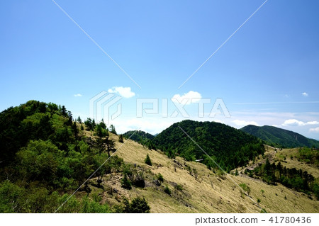 Walking on a pleasant ridgeline (Location: Big Bodhisattva, near Shidengawara) 41780436
