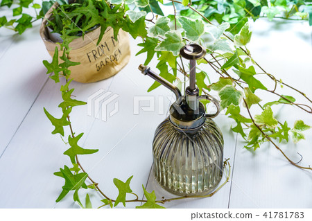 園藝護理 園藝護理 41781783