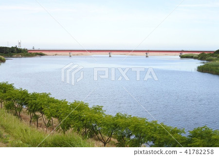 Aozora海洋橋樑出海口綠色自然夏天天空照片 41782258