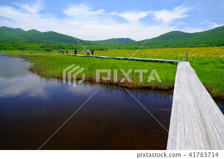 沖繩和Nikkokuge 41783714