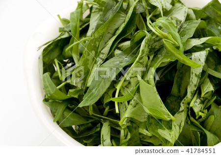 Leaves of a spira Leaves of a spira 41784551