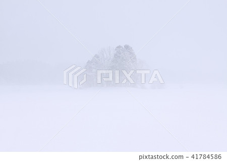 Winter morning fog Satoyama winter 41784586