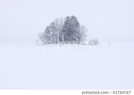 Satoyama's winter Winter morning 41784587