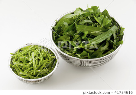 Leaves and stems of aka grease (Ensai) 41784616
