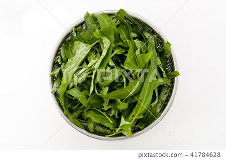 Leaves of a spira Leaves of a spira 41784628