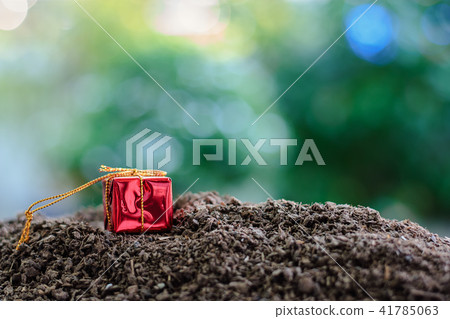 Red gift box on soil Red gift box on soil 41785063