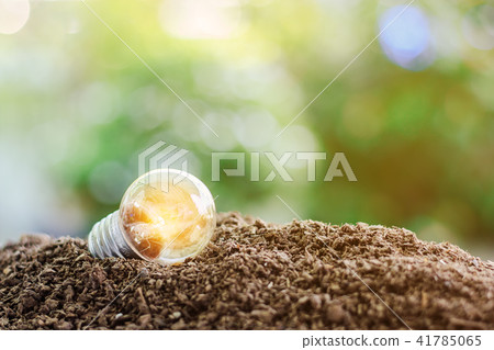 Glowing light bulb on soil Glowing light bulb on soil 41785065