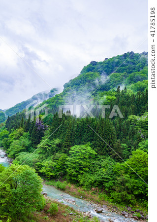 新鮮的綠河 新鮮的綠河 41785198