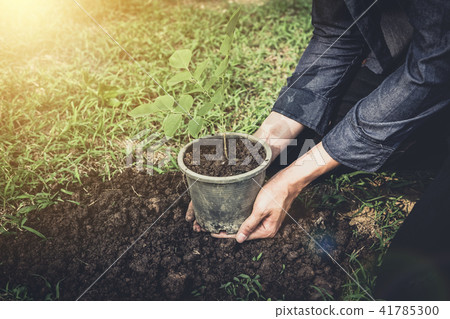 Young man planting the tree in the garden as earth day and save 41785300