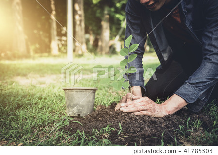 Young man planting the tree in the garden as earth day and save Young man planting the tree in the garden as earth day and save 41785303