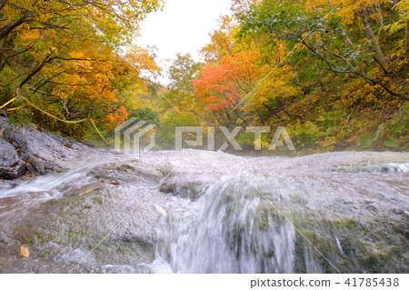 Kamuiwakka hot waterfall 41785438