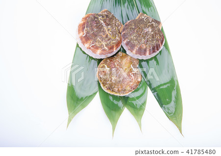 扇貝食品 41785480