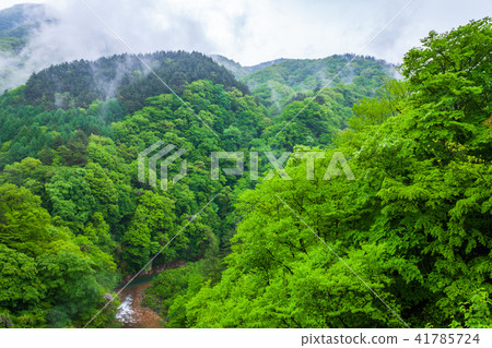 Fresh green river Fresh green river 41785724