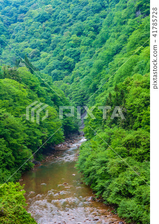 Fresh green river 41785728