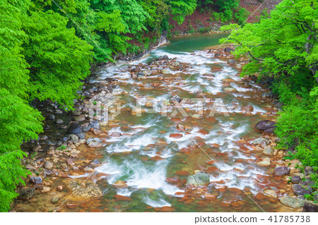 Fresh green river Fresh green river 41785738