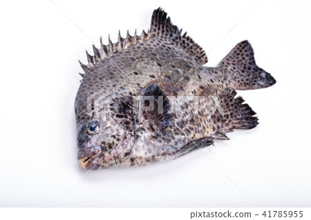 Ishigaki Sea cake ingredients 41785955