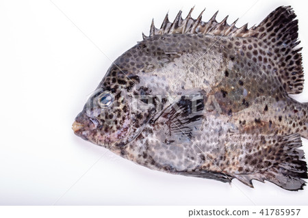 Ishigaki Sea cake ingredients 41785957